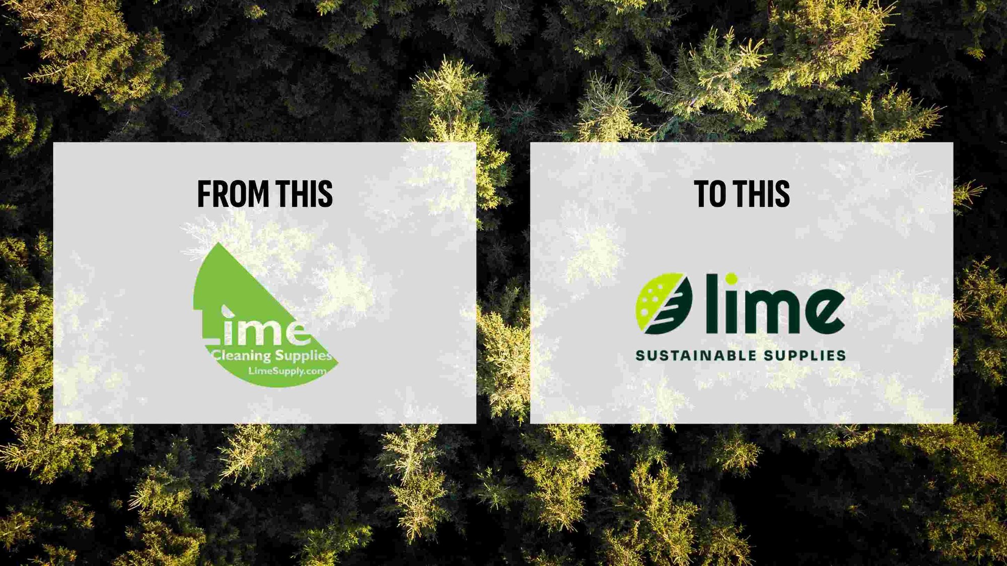 Lime Supply brand transformation
